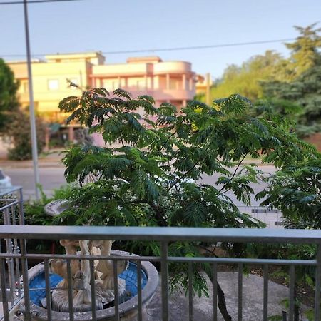 B&B Mazzini Grottaglie Kültér fotó